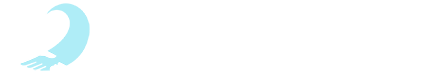 logo_dariopbrandao_horizontal_retina
